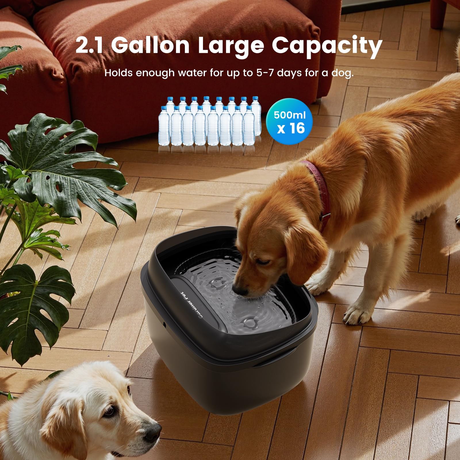 Gardner Pet dual-dome drinking tray provides easy access from two angles.