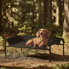 Gardner Pet elevated dog bed with 3-sided guardrail provides security and neck support during rest