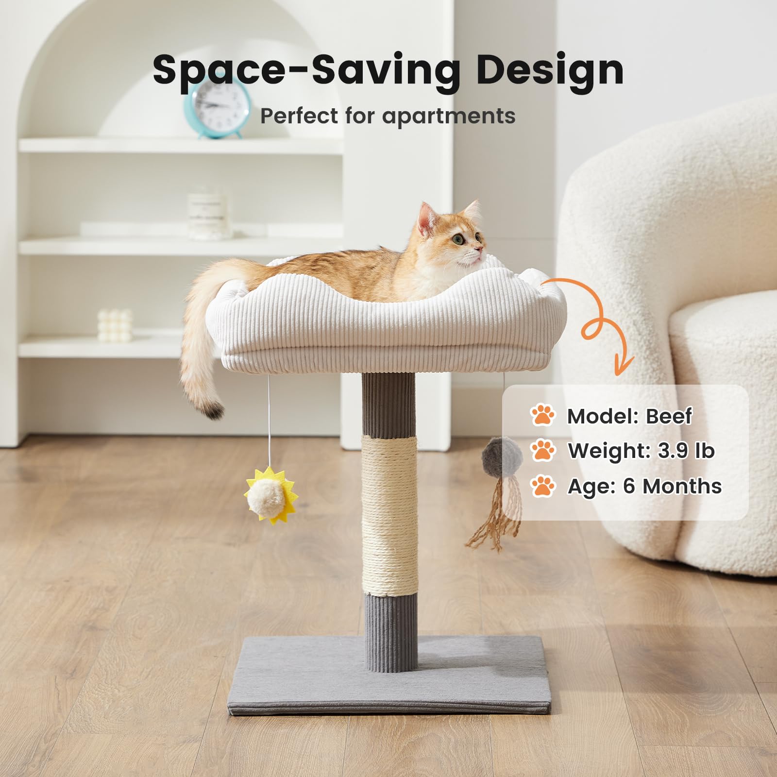 Gardner Pet interactive hanging toys invite batting and play.