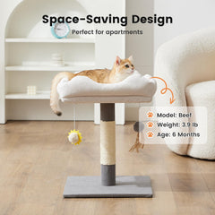 Gardner Pet interactive hanging toys invite batting and play.