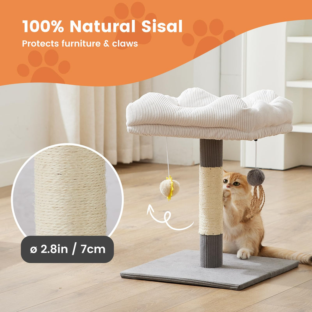 Gardner Pet perching platform measures 15.7x11.8 inches.