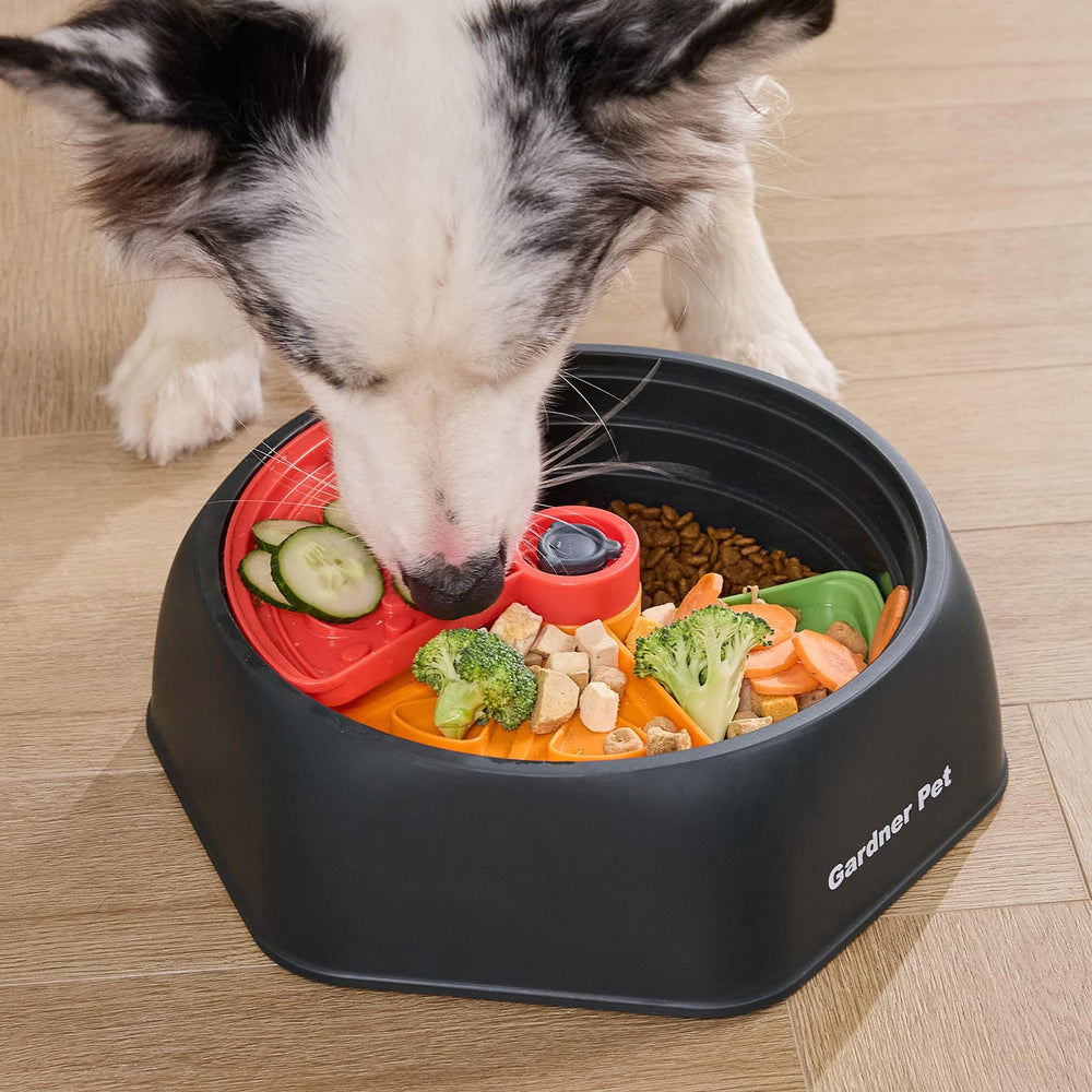 Gardner Pet slow feeder with double-layer maze insert for added challenge