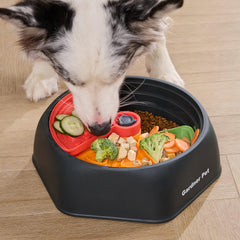 Gardner Pet slow feeder with double-layer maze insert for added challenge