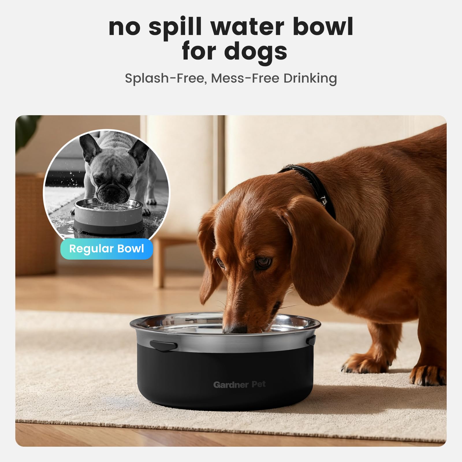 Gardner Pet dog hydration at a comfortable height for daily use
