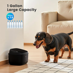 Gardner Pet splash-proof guard highlights spill prevention for busy homes