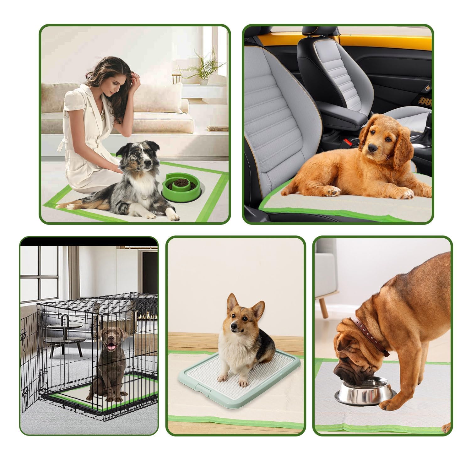 Gardner Pet travel and home use protection pad offers mess control.