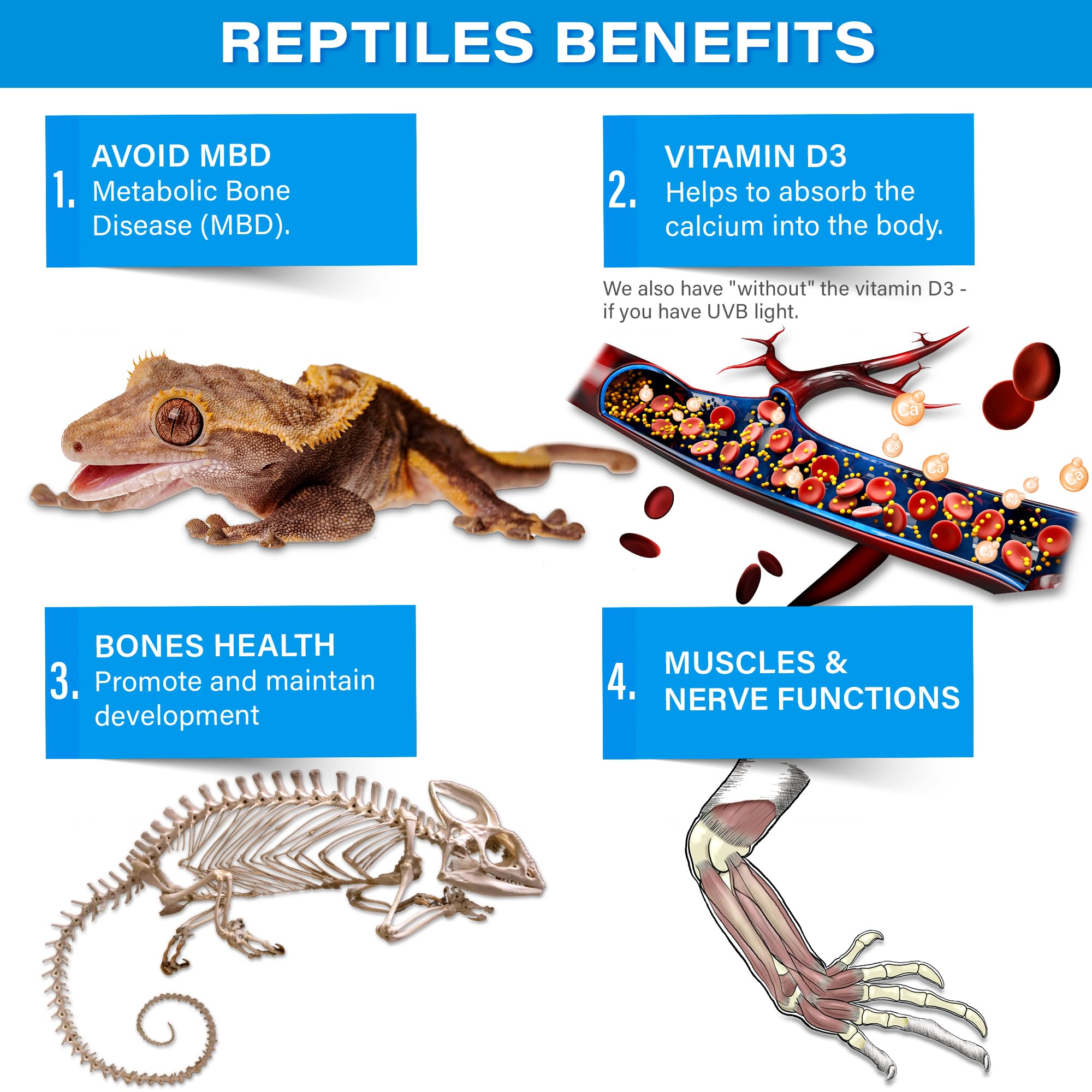 Gargeer calcium powder dusting salad for reptiles supports regular mineral intake.