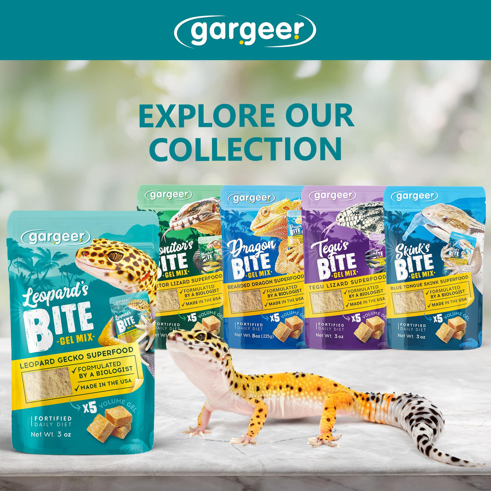 Gargeer leopard gecko gel diet portion ready to serve as a tasty meal.