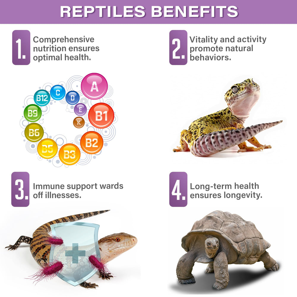 Gargeer reptile multi vitamin blend of kelp, carrot, and spirulina