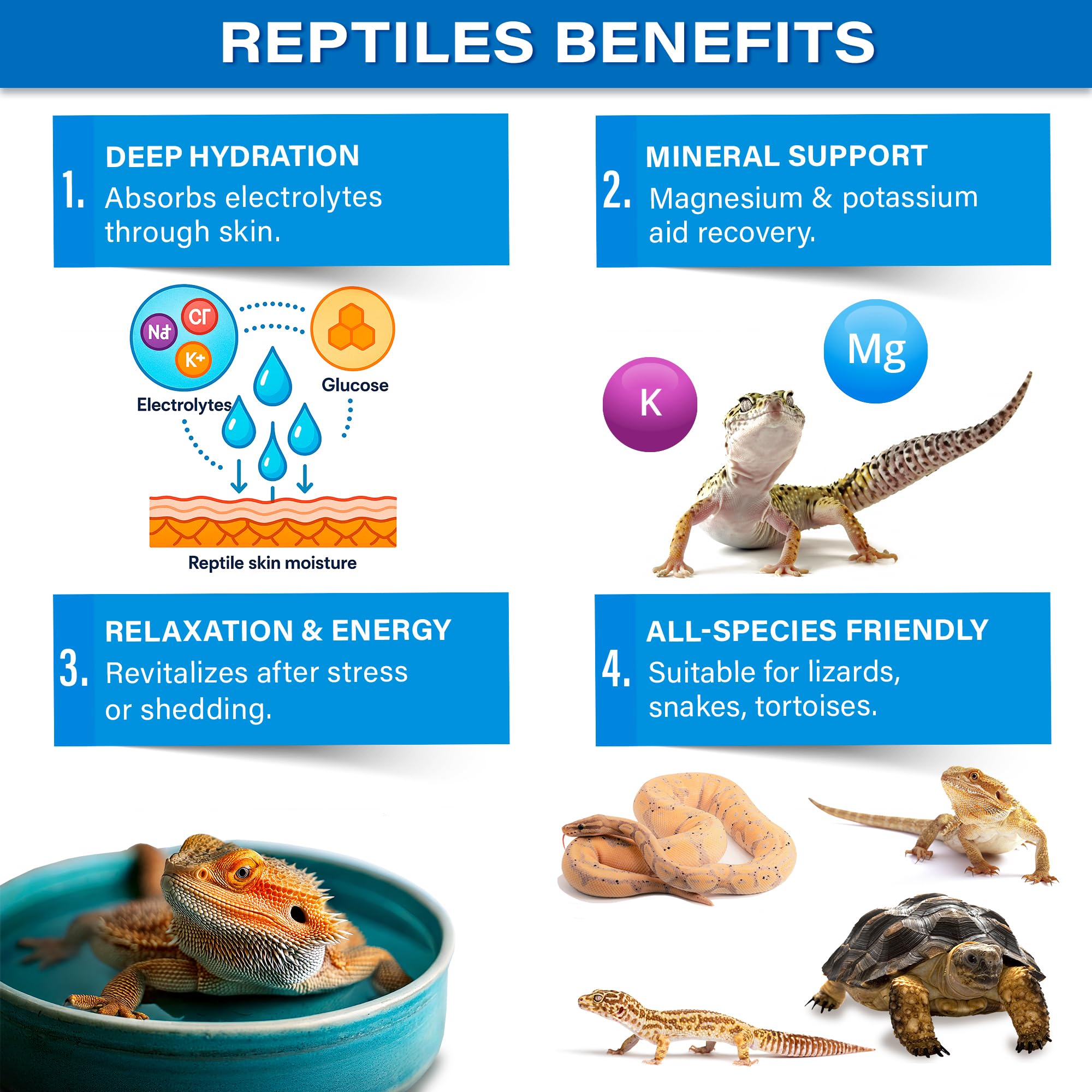 Gargeer ReptiSoak mineral electrolytes ready to restore balance in soaking bath.