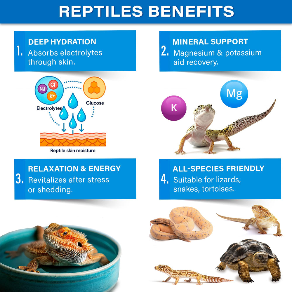 Gargeer ReptiSoak mineral electrolytes ready to restore balance in soaking bath.