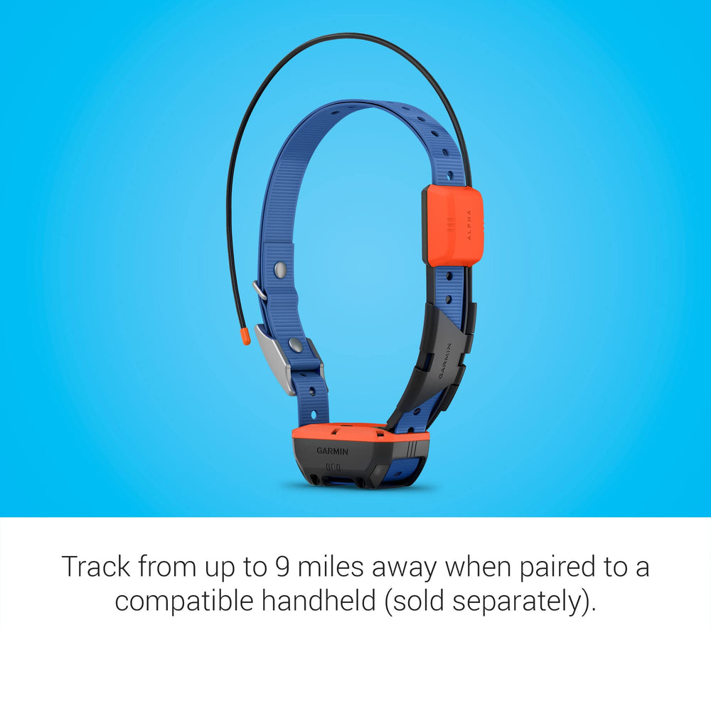 Garmin Alpha T 20 multicolor LED helps identify your dog at night