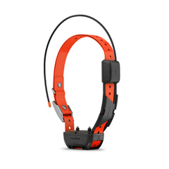 Garmin Alpha TT 25 collar front view with bright LED for night visibility