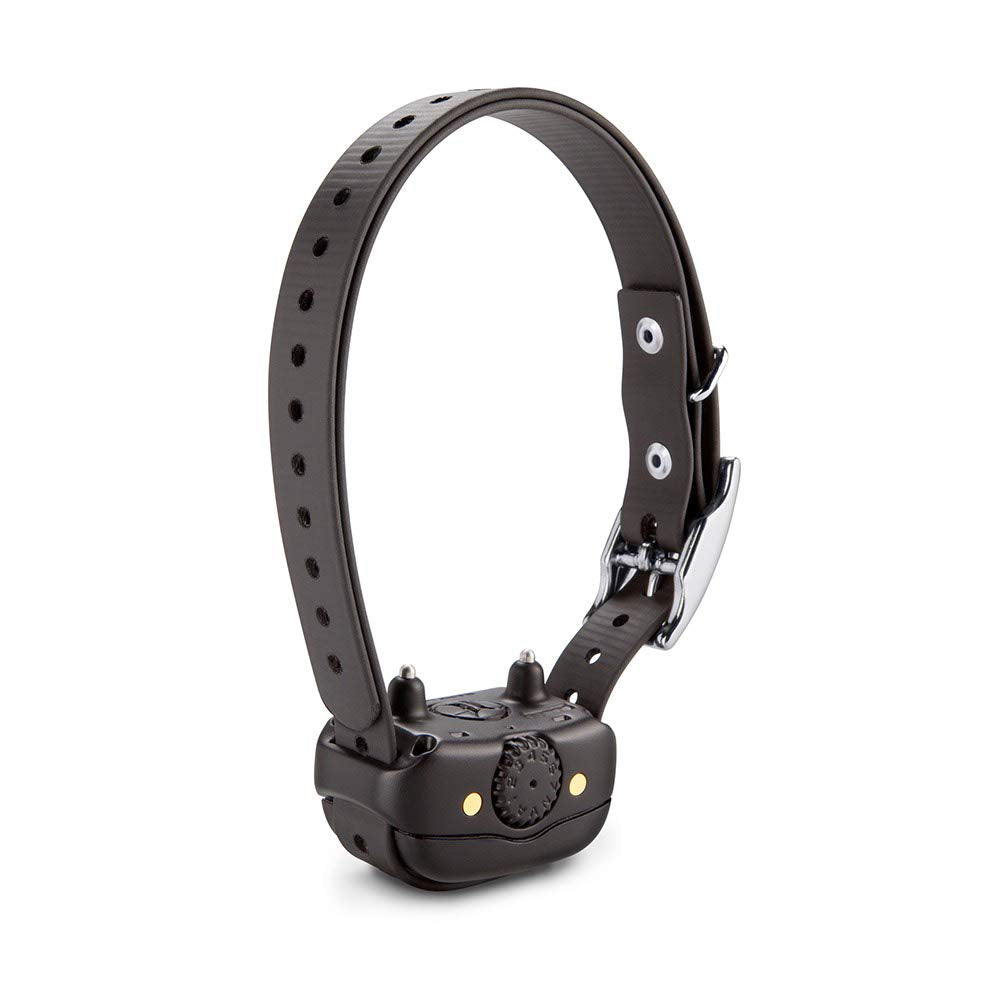 Garmin BarkLimiter Deluxe worn on dog during walk demonstrates discreet bark control.