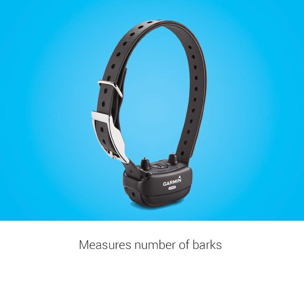 Garmin BarkLimiter Deluxe stainless points ensure safe contact across coats and breeds.