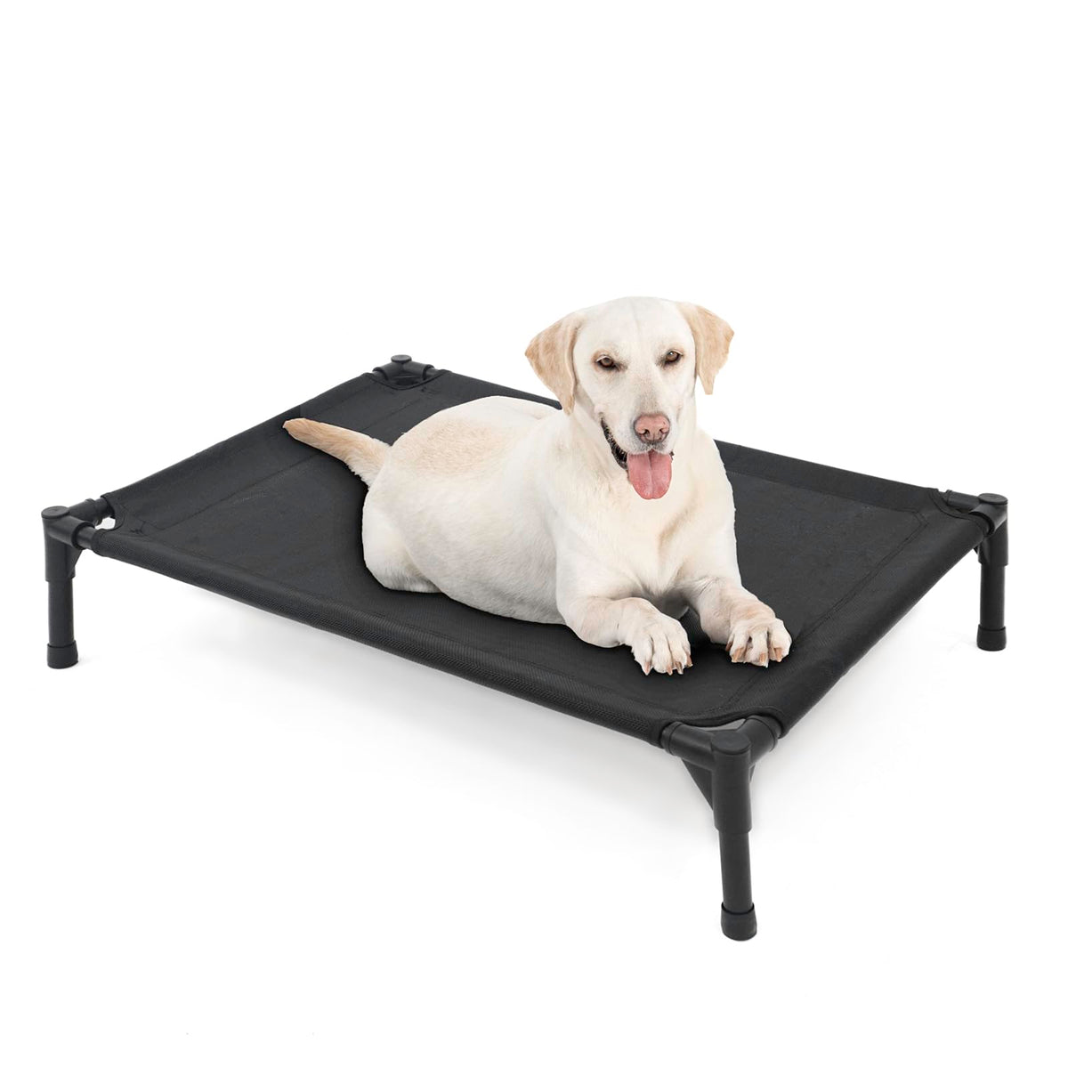 Garnpet elevated dog bed assembly shows quick tool-free setup for busy owners.