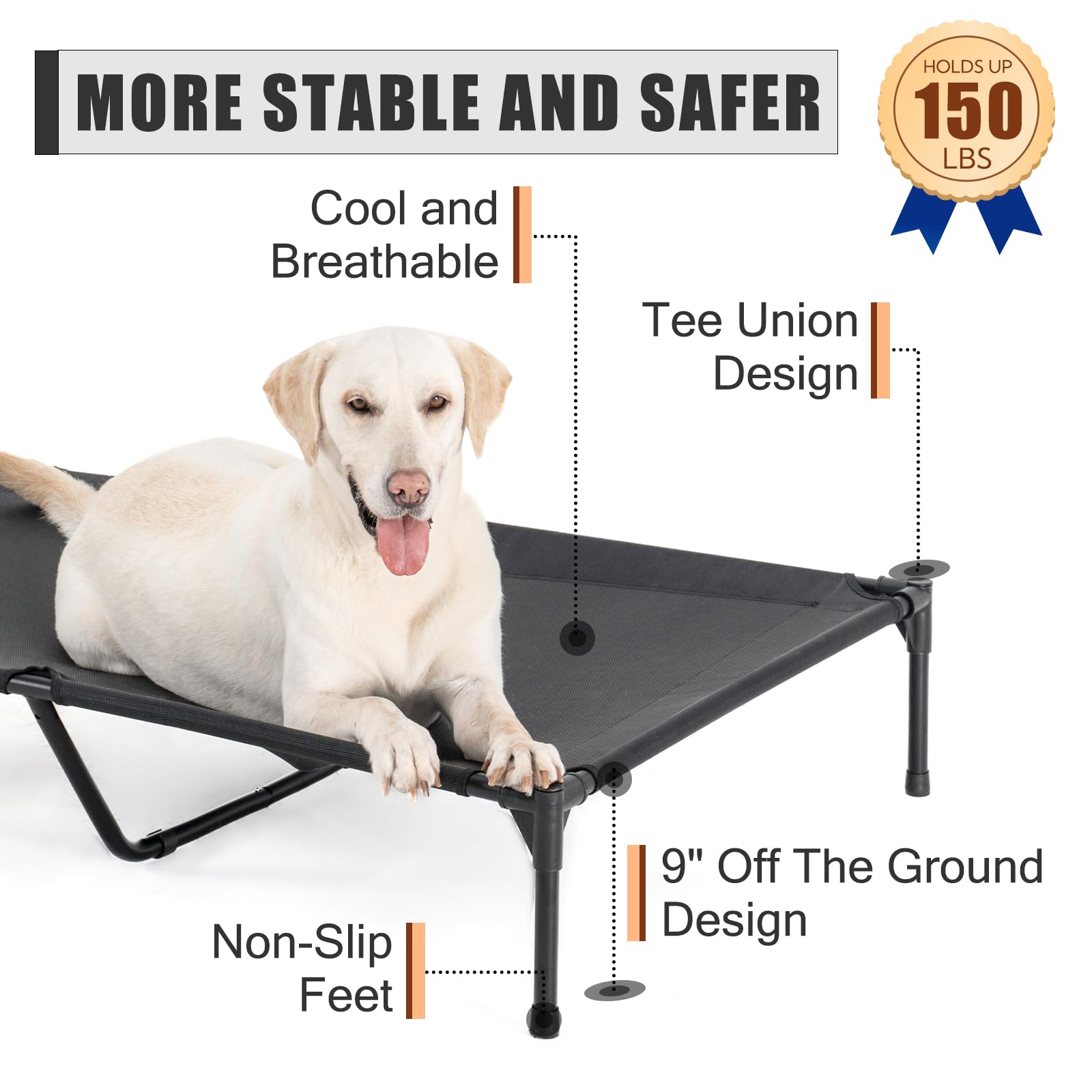 Garnpet XL elevated bed room use demonstrates year-round comfort and cleaner sleeping