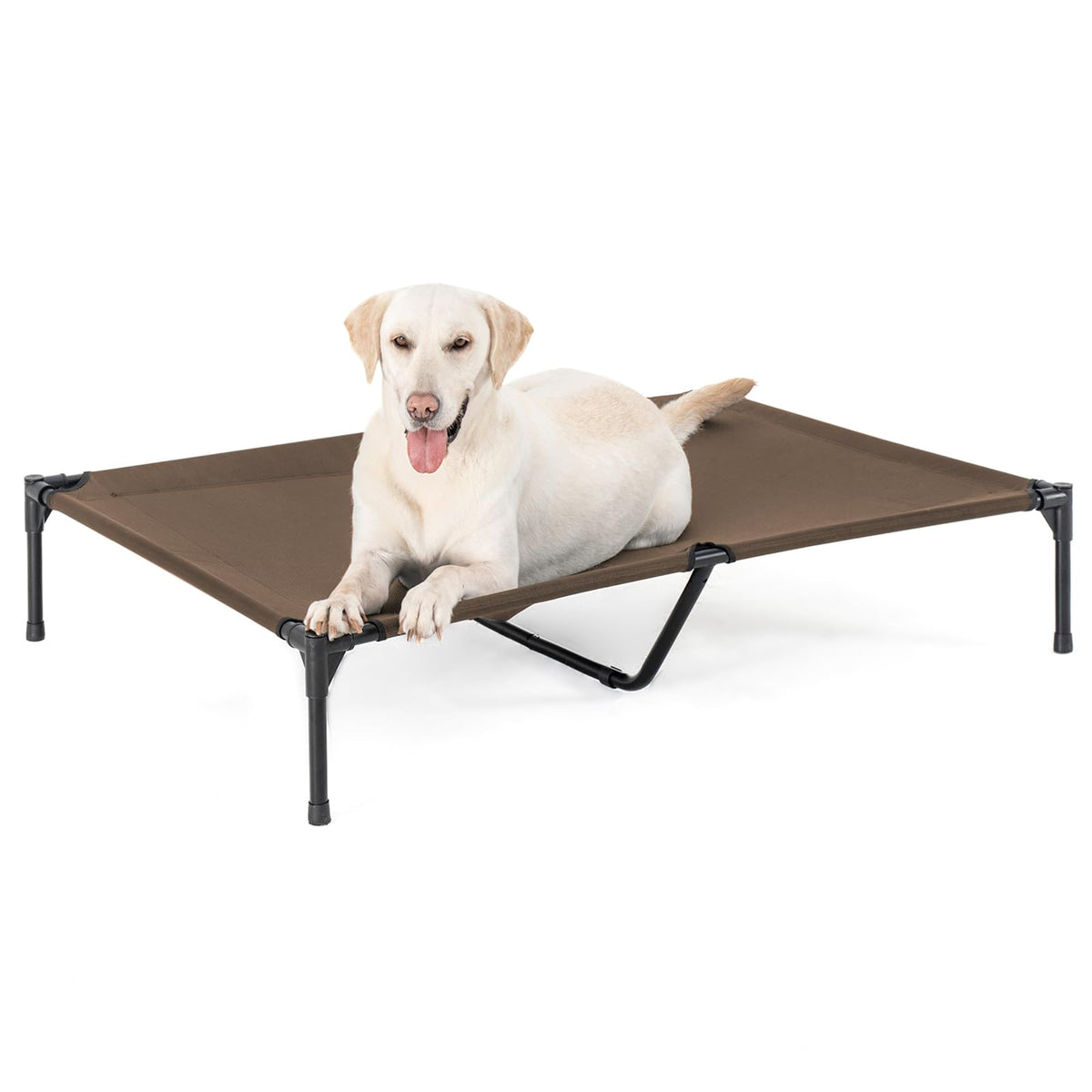 Garnpet XL elevated bed side view demonstrates sturdy frame for large dogs indoors