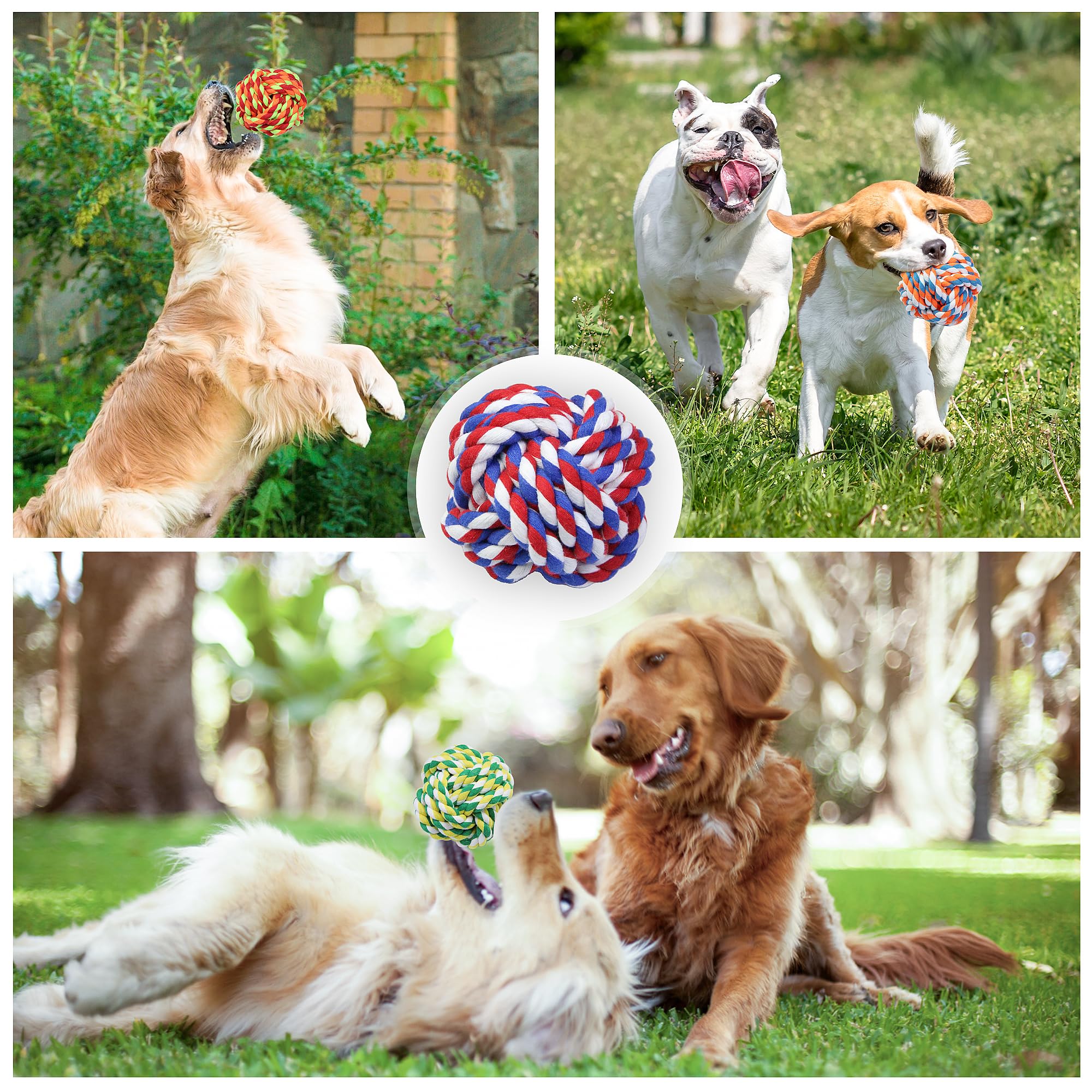 GASAPET rope ball gift-ready for birthdays, holidays, or adoption celebrations.