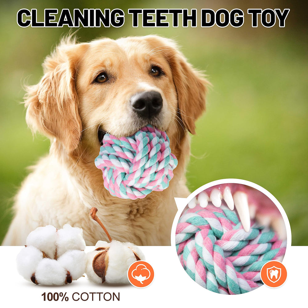 GASAPET large breed dog toy used for teething and periodontal-friendly chewing.
