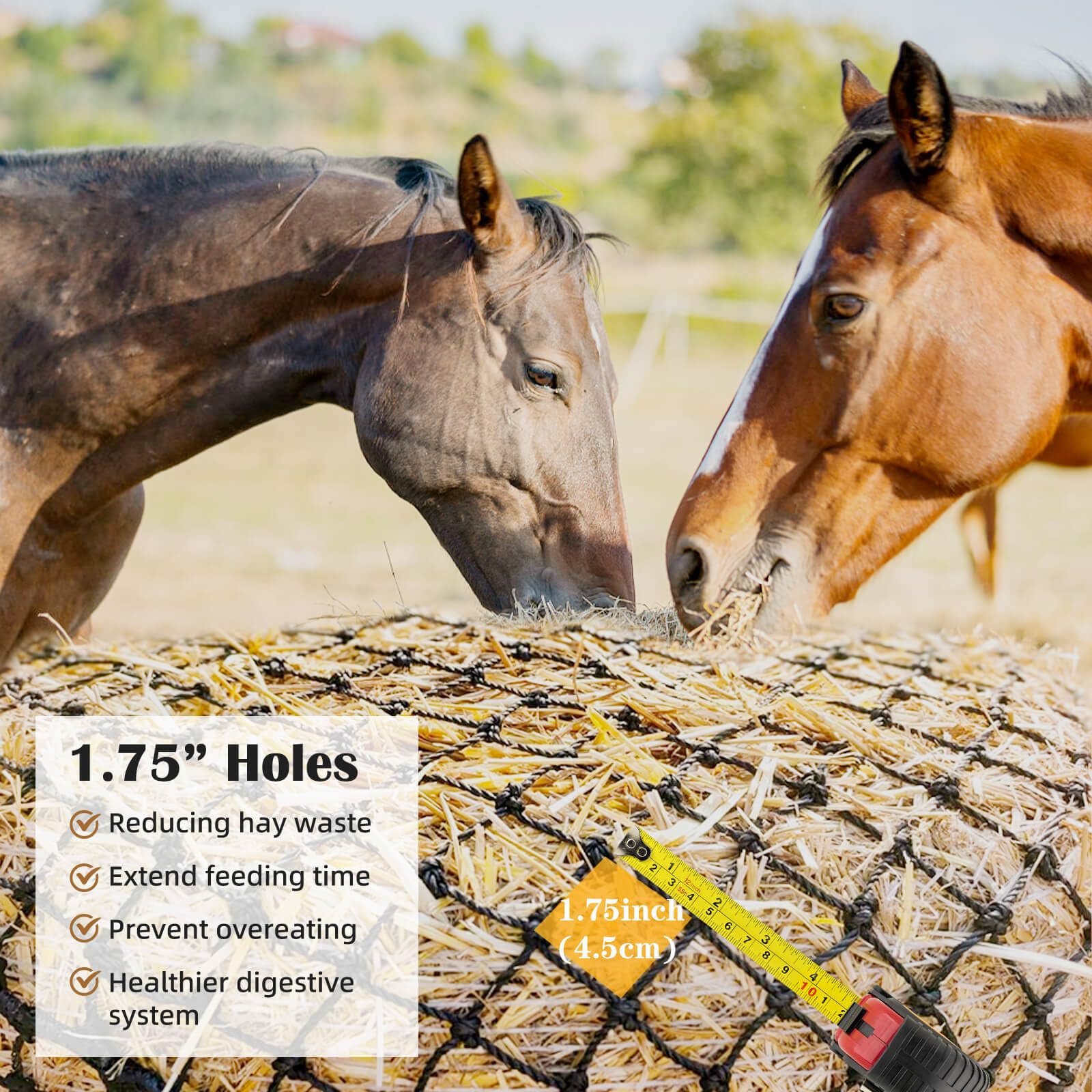 Gasgimos hay net with 1.75-inch openings slows feeding naturally.