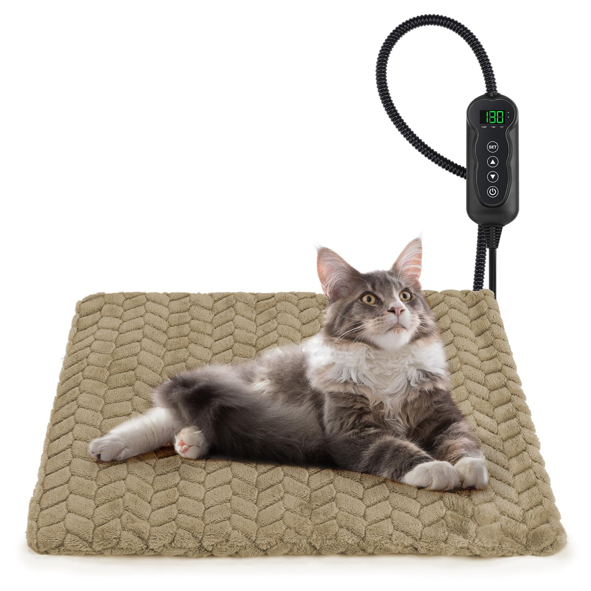 GASUR heated cat bed front view for cozy warmth