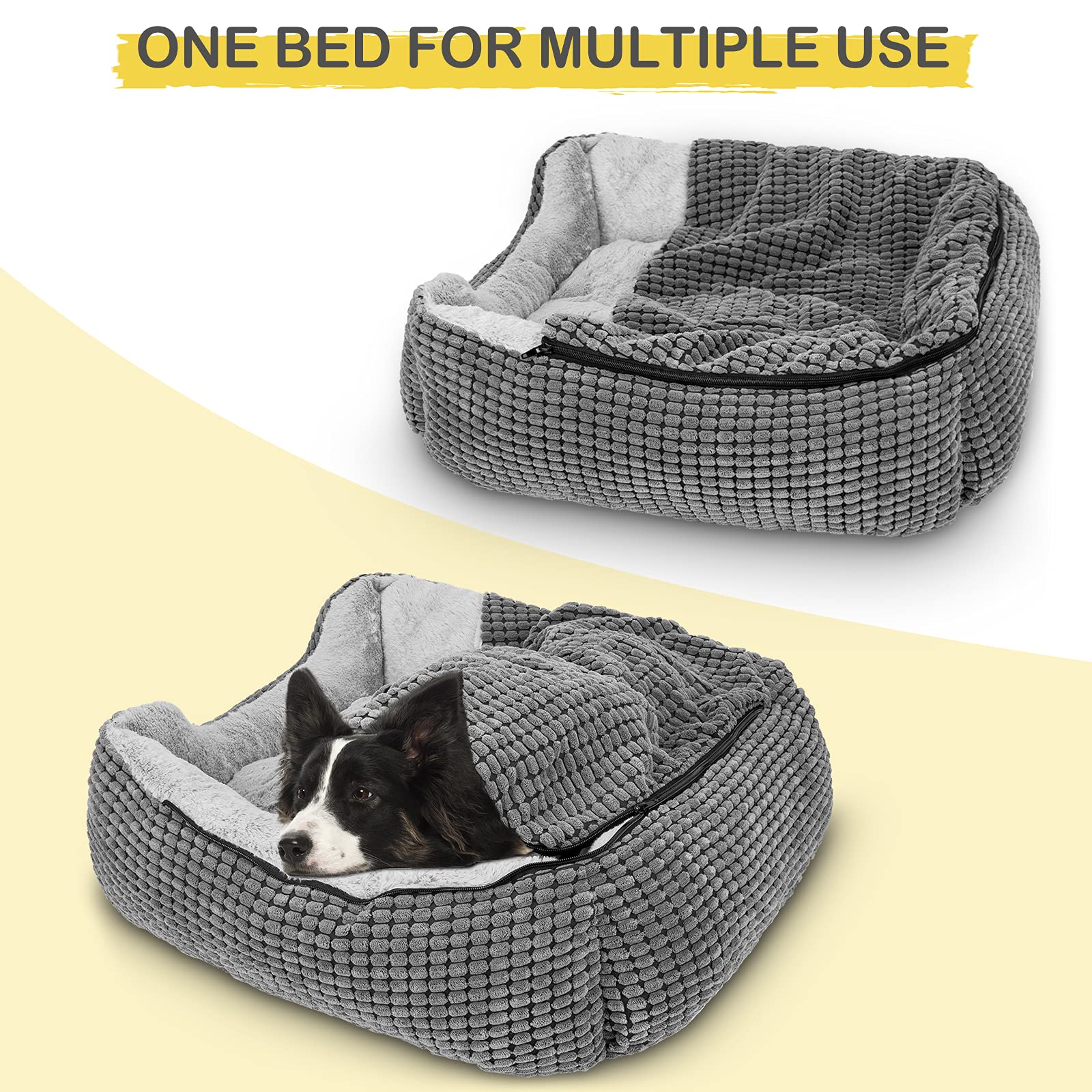 GASUR xl 35x25 size supports up to 58 pounds for bigger companions.