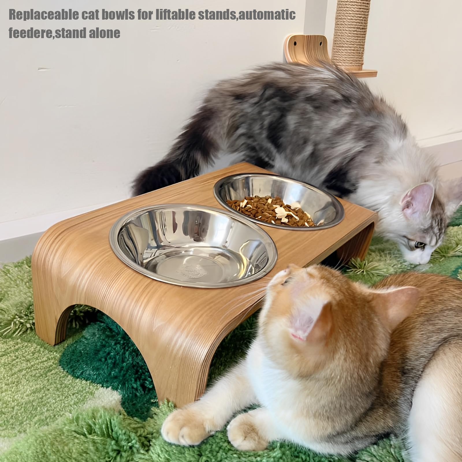 GCVOPTON compatible with elevated feeders for healthier neck posture.