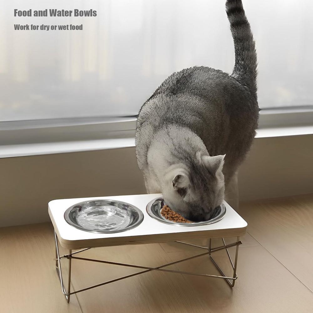 GCVOPTON bowls pair with silicone pads to reduce spills.