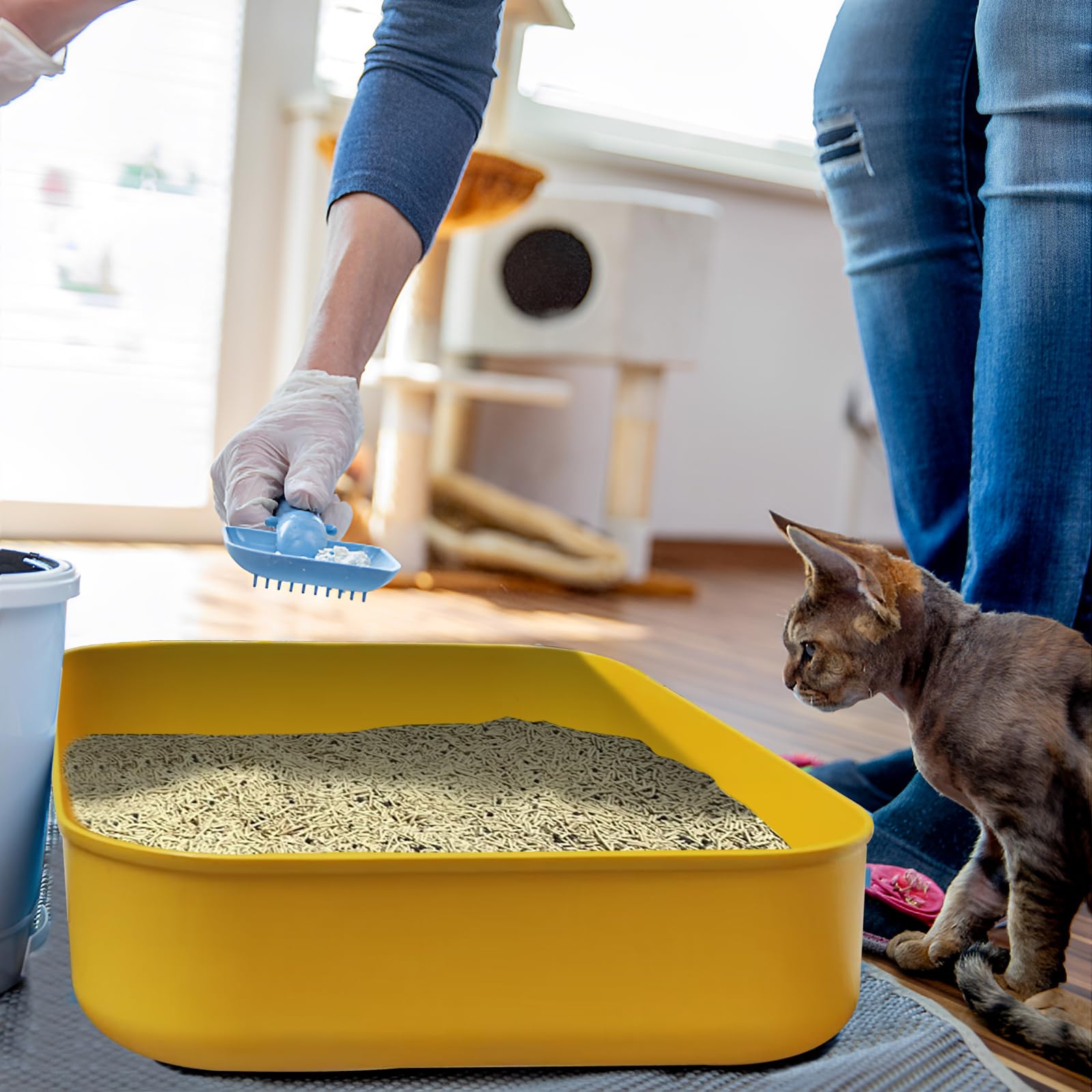 GCVOPTON smooth-edge litter box reduces pet injuries