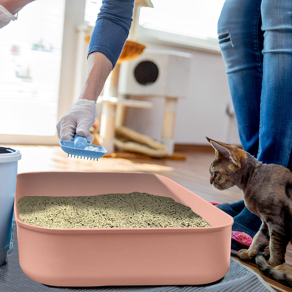 GCVOPTON small litter box with smooth edges to prevent injuries.