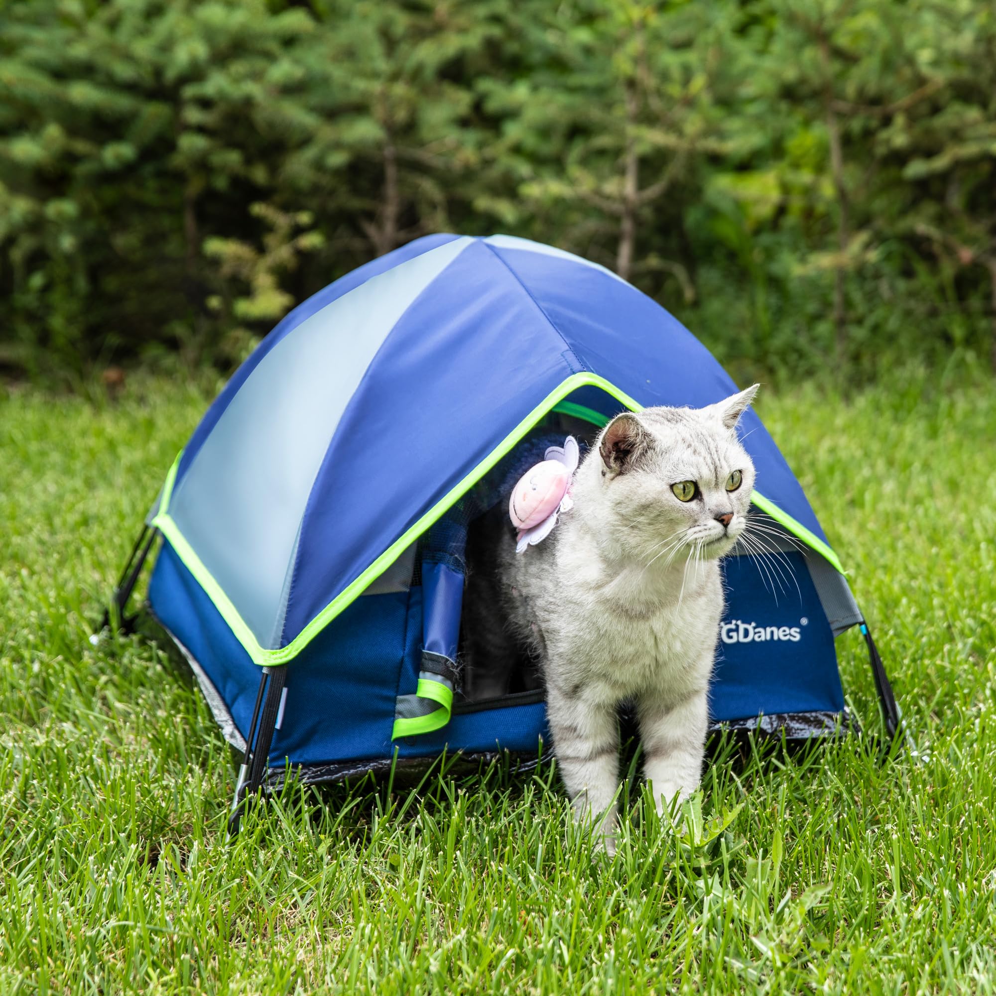 GDanes Blue Cat Tent easy-clean microfiber fabric simplifies maintenance.