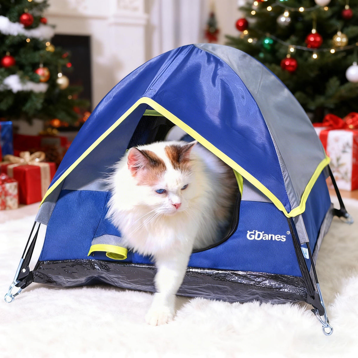 GDanes Blue Cat Tent front view offers a cozy indoor hideaway for cats.