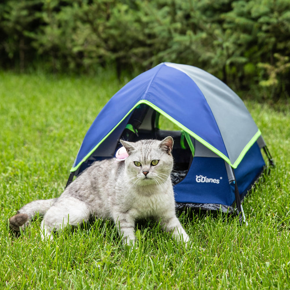 GDanes Blue Cat Tent spacious interior for curled naps.