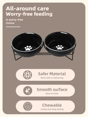 GDCZ dual-bowl design keeps water and food neatly separated.