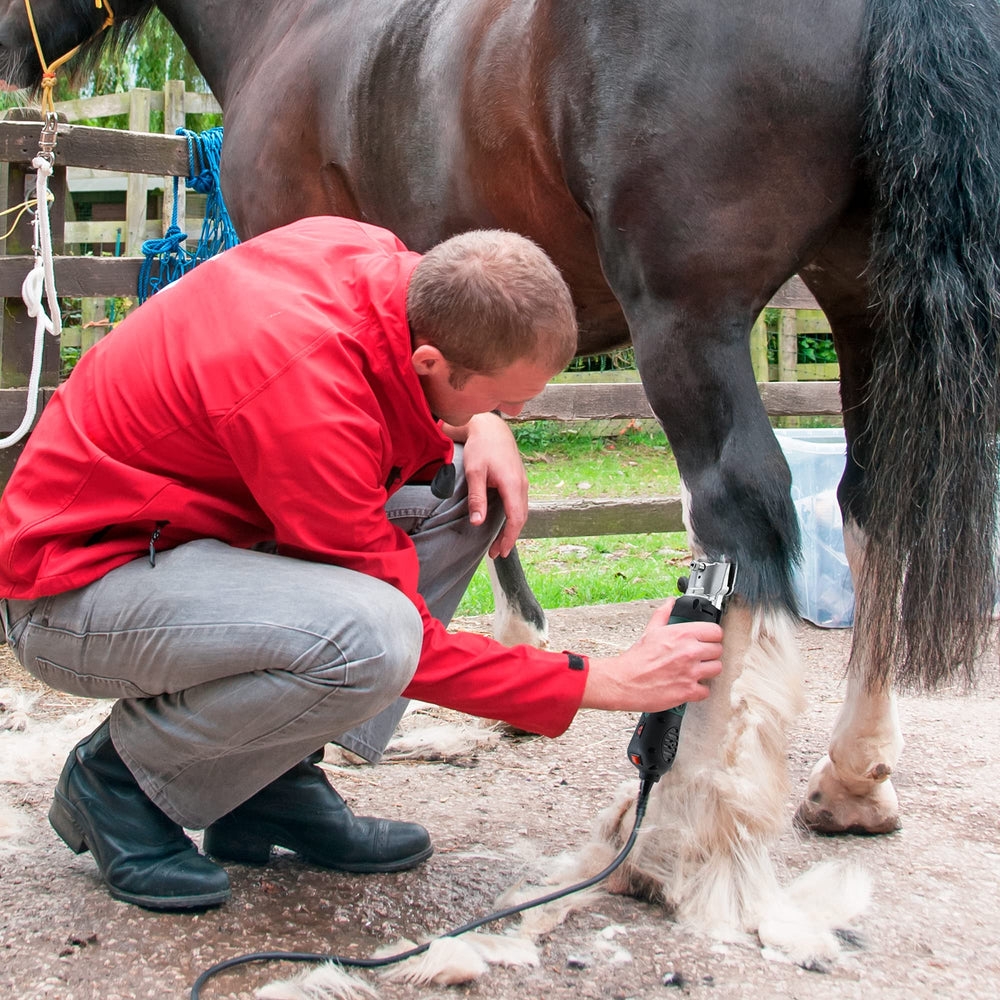 GDJOB horses clippers kit included with tools and carrying case