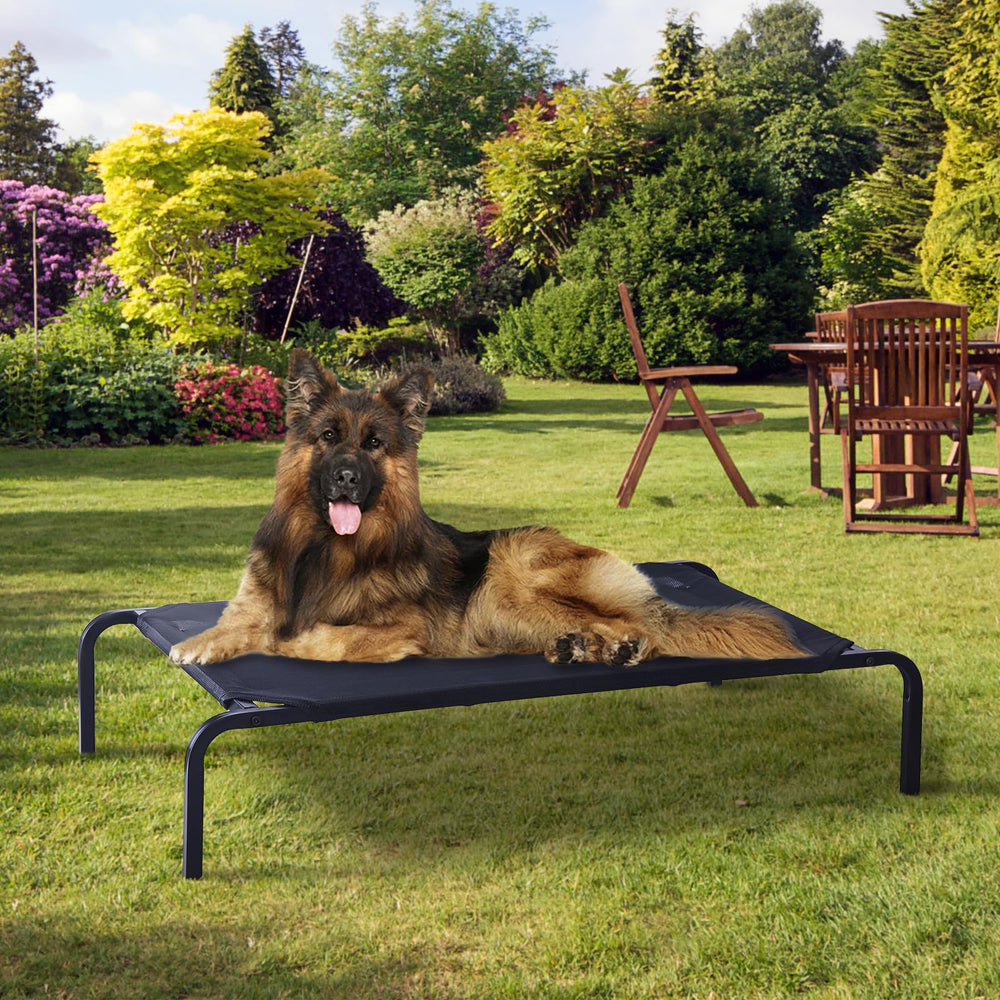 GDKASRNY black large elevated pet bed provides spacious comfort.