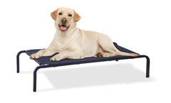 GDKASRNY portable raised dog bed assembly shows quick setup and strong support.