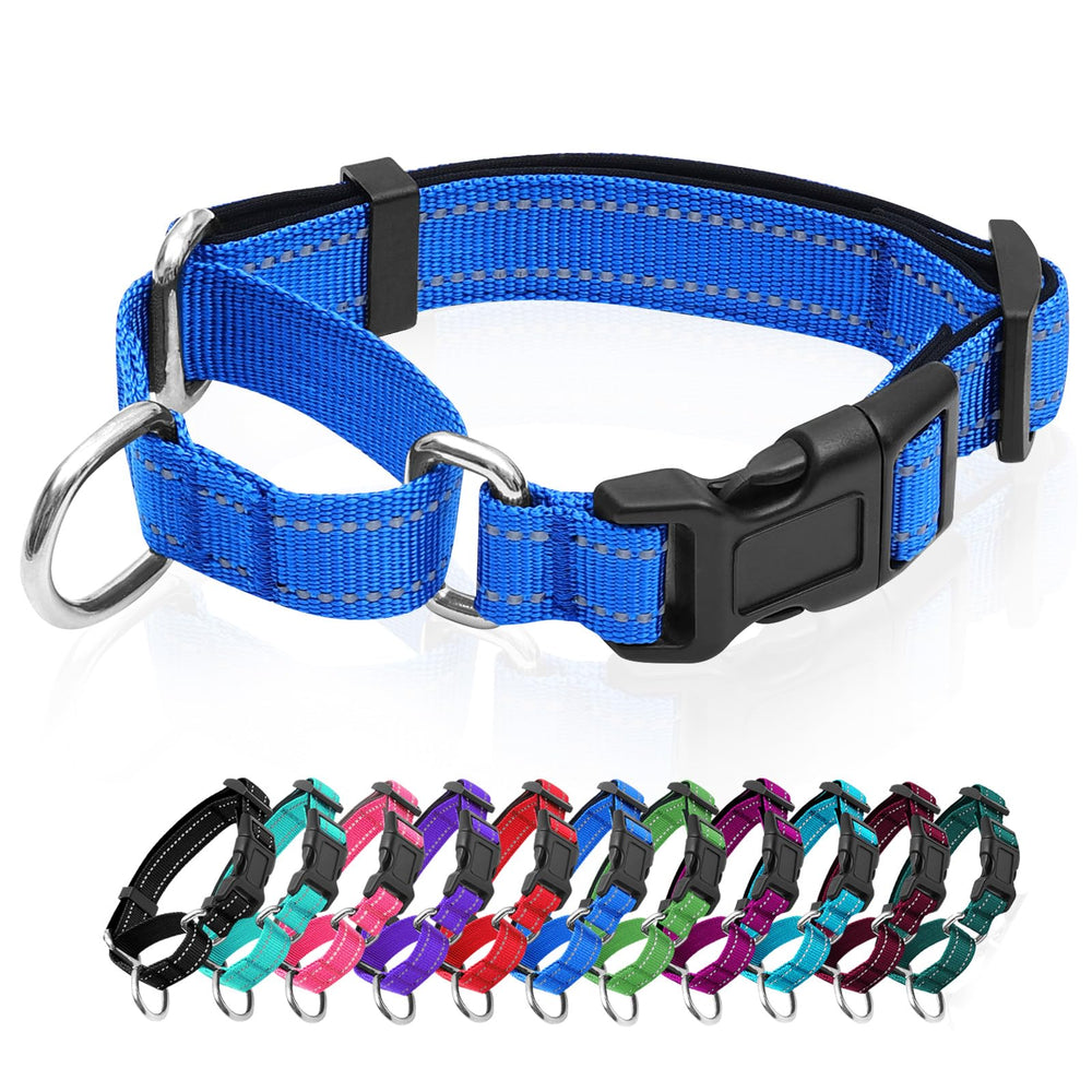 GDLKPS Reflective Martingale Collar buckle for quick-release safety during walks