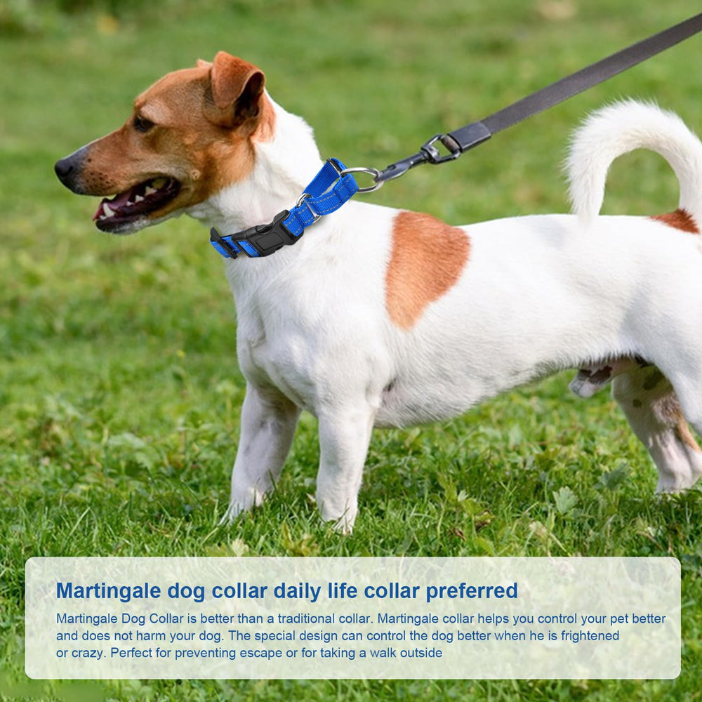GDLKPS Sizing guide helps safe, comfortable fit for dogs