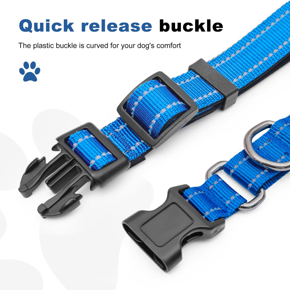 GDLKPS Collar on dog during walks demonstrates secure daily wear