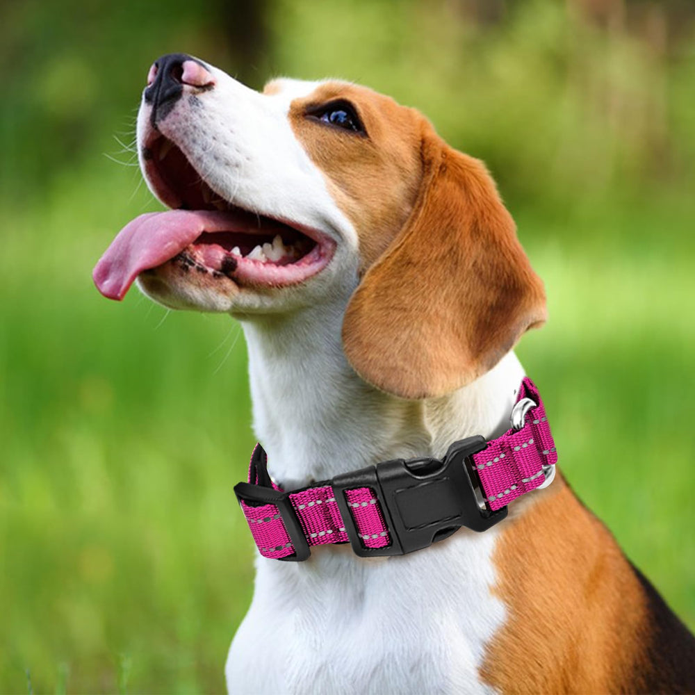 GDLKPS Reflective Martingale Collar soft padded interior enhances comfort during walks.