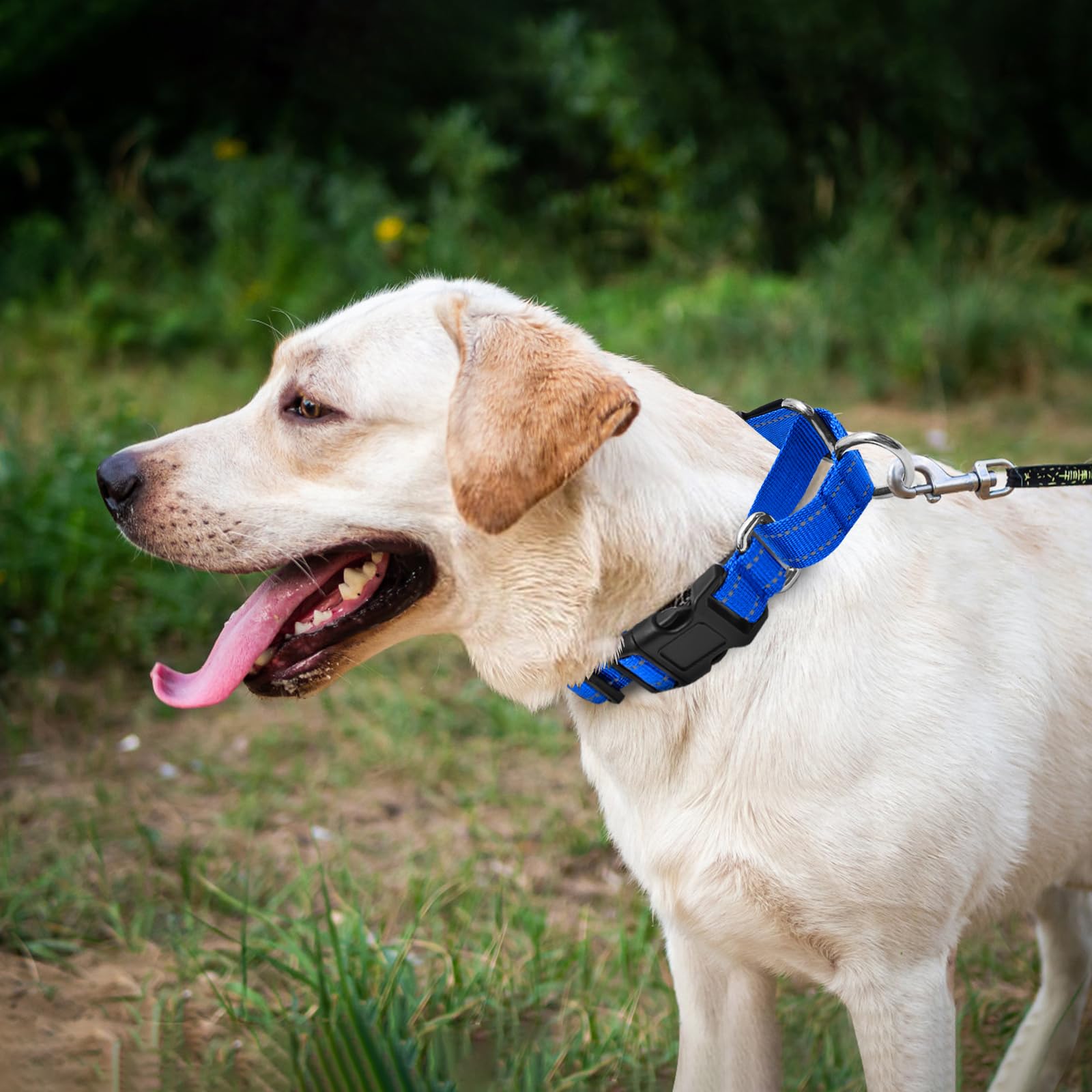 GDLKPS Martingale Collar strap detail showing soft padding for comfort