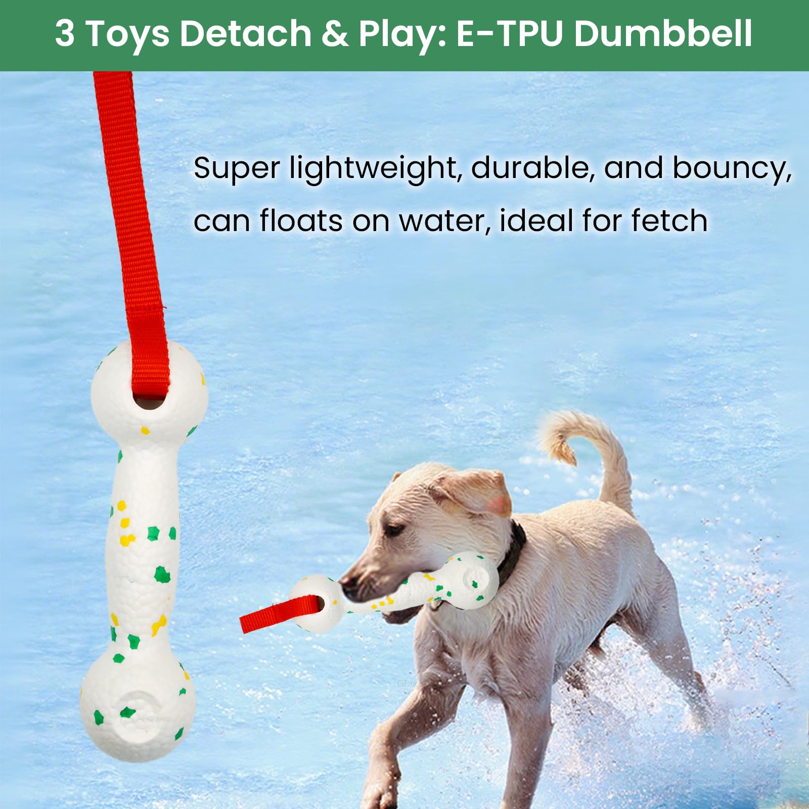 GDuolaPaws heavy-duty bungee rope withstands rough tugging and outdoor use.
