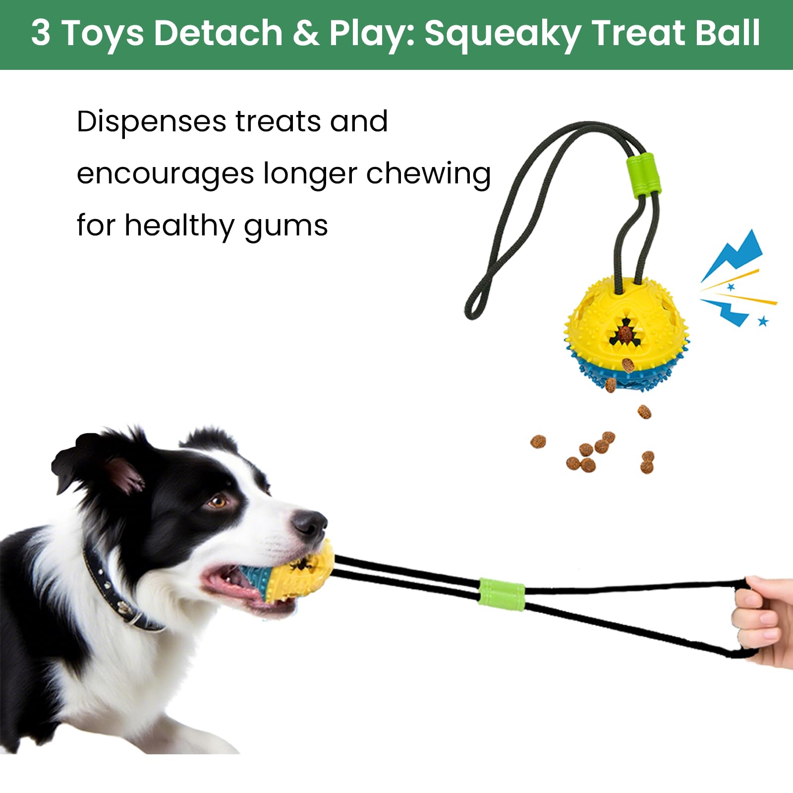 GDuolaPaws outdoor yard training setup supports fetch and pull during playtime.