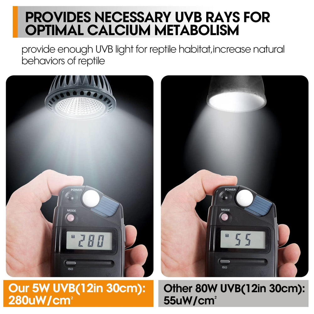 GeeKoit UVB light in use inside a bearded dragon tank for desert-style exposure.