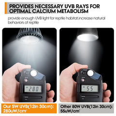GeeKoit UVB light in use inside a bearded dragon tank for desert-style exposure.