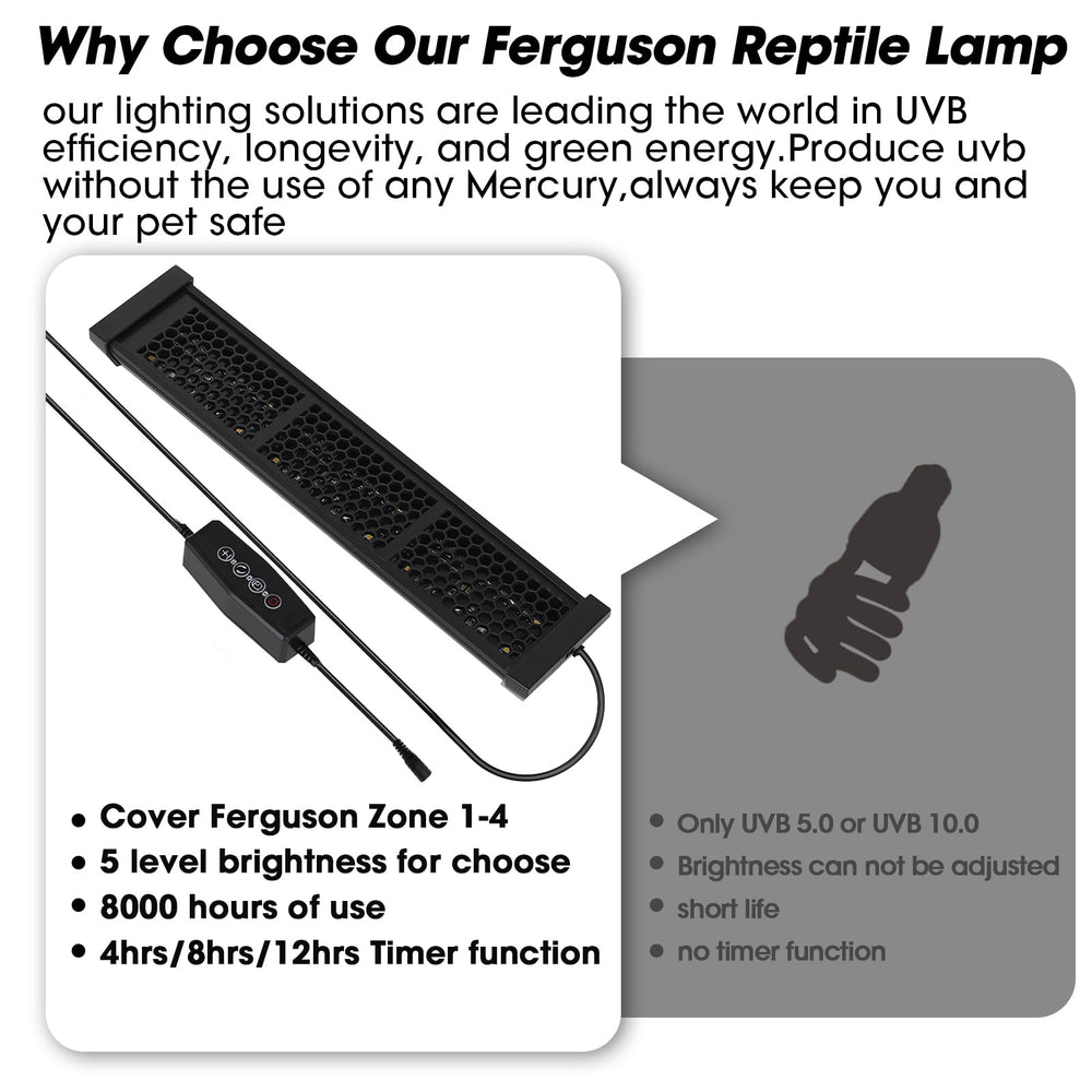 GeeKoit UVB light in a reptile habitat supports active life.