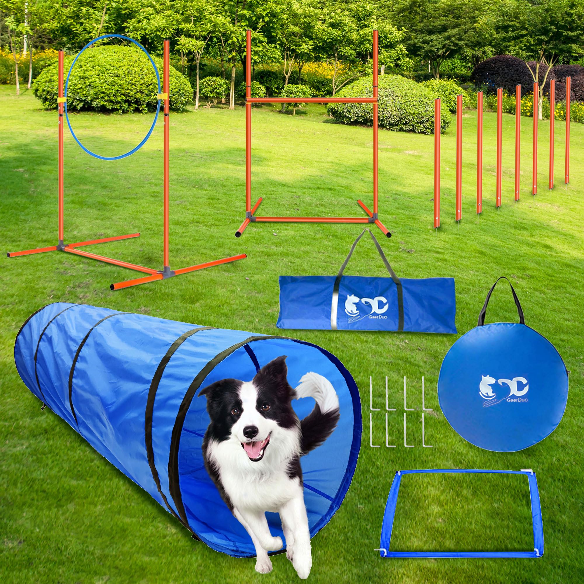GeerDuo agility accessories image highlights essential training pieces.