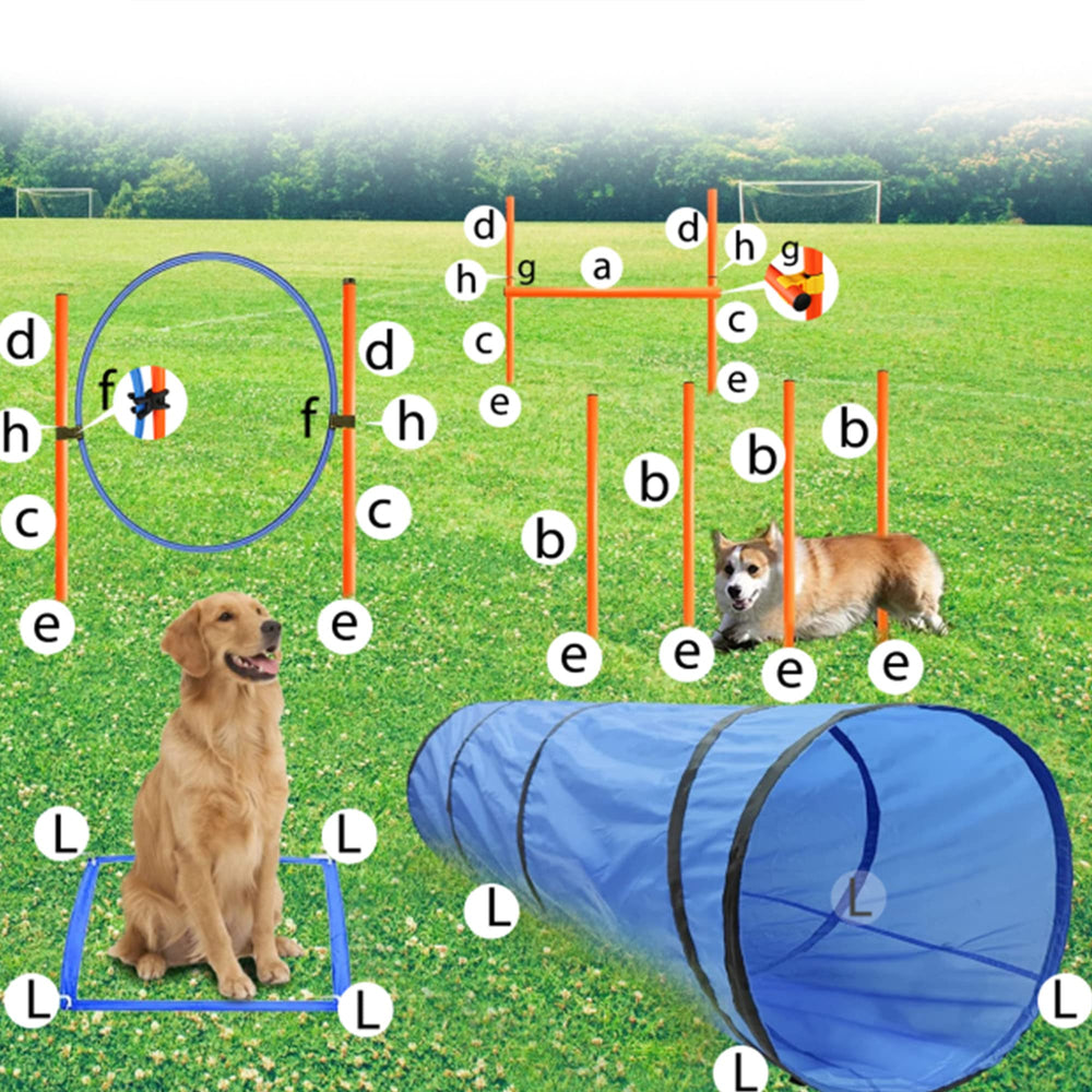 GeerDuo jump ring supports safe, controlled obstacle completion during workouts.